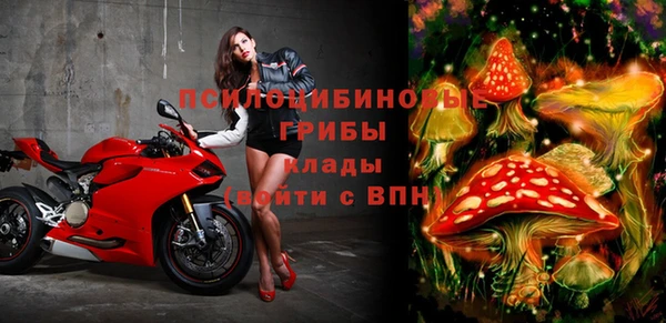СК Абаза
